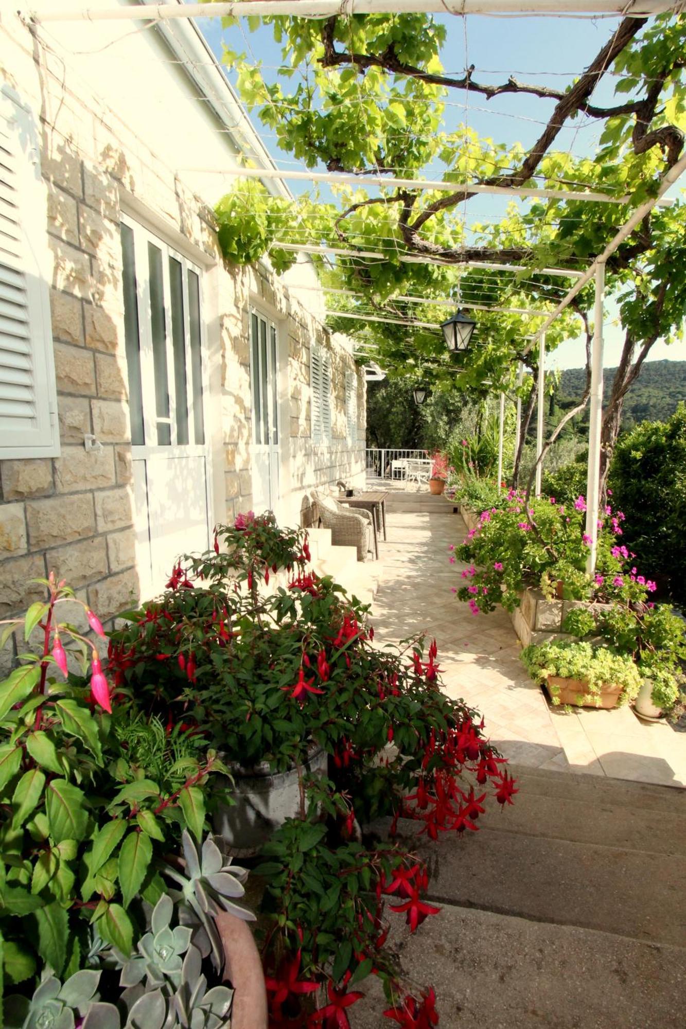 Apartments Cervelin Lopud Exterior foto